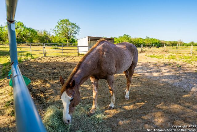 Image 41 of 94 For 2680 County Road 342