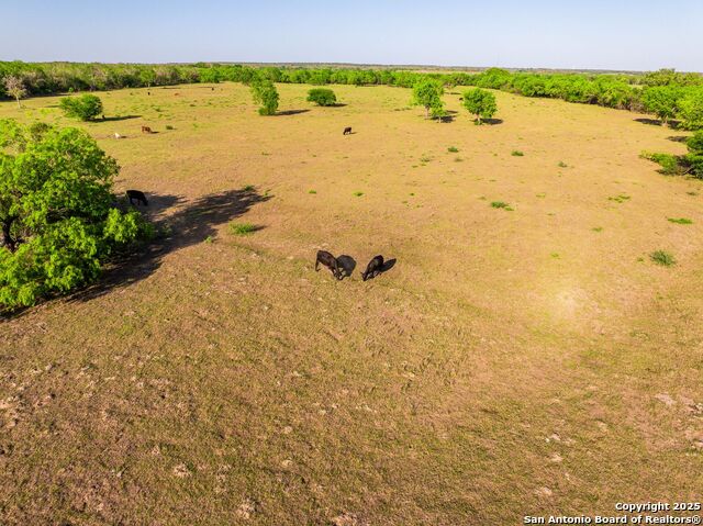 Image 62 of 94 For 2680 County Road 342