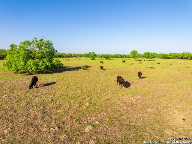 Image 71 of 94 For 2680 County Road 342