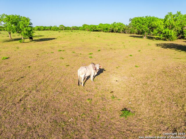 Image 72 of 94 For 2680 County Road 342