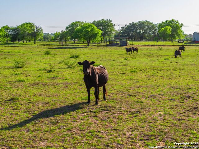 Image 73 of 94 For 2680 County Road 342
