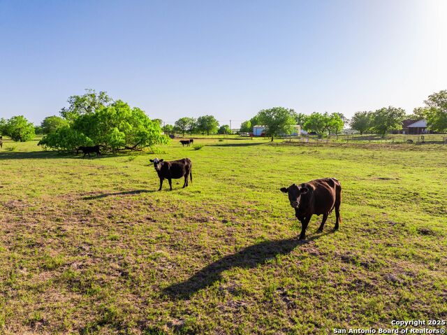 Image 74 of 94 For 2680 County Road 342