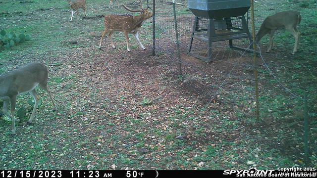 Listing photo id 51 for Tbd Cr 121  