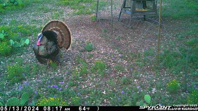 Listing photo id 53 for Tbd Cr 121  