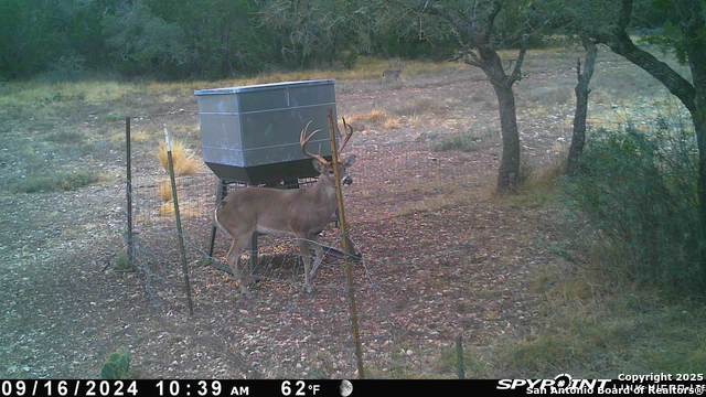 Listing photo id 54 for Tbd Cr 121  