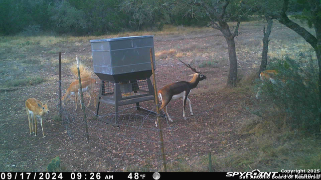 Listing photo id 55 for Tbd Cr 121  