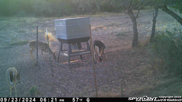 Listing photo id 56 for Tbd Cr 121  