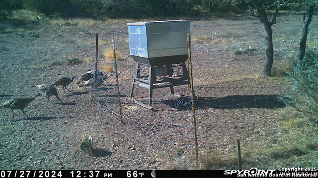 Listing photo id 59 for Tbd Cr 121  