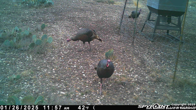 Listing photo id 60 for Tbd Cr 121  