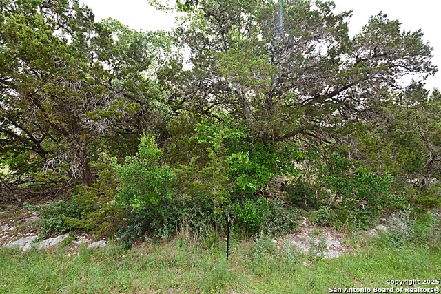 Details for 1873 Lakeshore, Canyon Lake, TX 78133