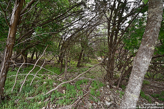 Image 3 of 4 For 1873 Lakeshore
