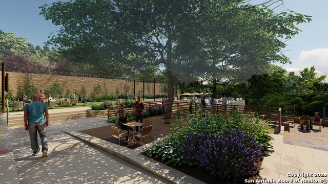 Image 6 of 6 For 10225 Braun  A201