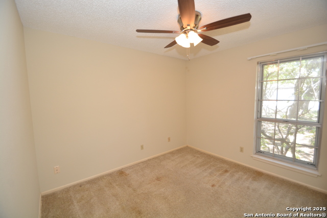 Image 10 of 16 For 8702 Timberwilde