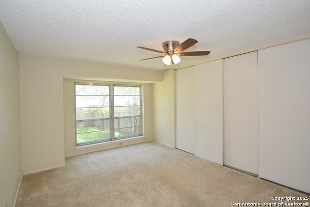 Image 15 of 16 For 8702 Timberwilde