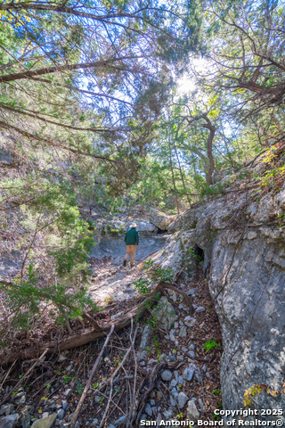 Image 10 of 38 For Tbd Us Hwy 83