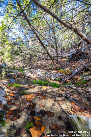 Image 36 of 38 For Tbd Us Hwy 83