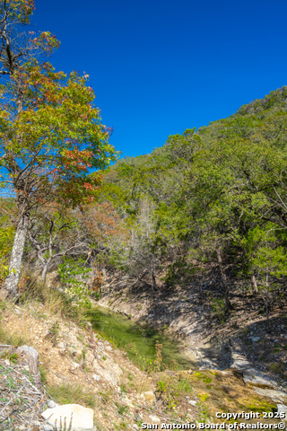 Image 37 of 38 For Tbd Us Hwy 83