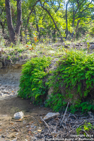 Image 4 of 38 For Tbd Us Hwy 83