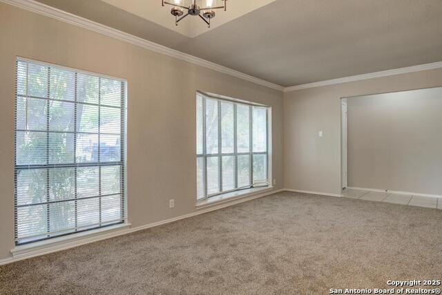 Listing photo id 11 for 7830 Lark Ridge
