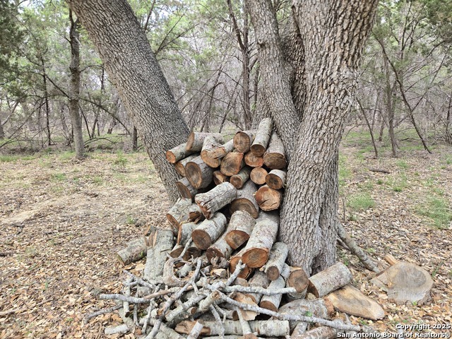 Image 15 of 35 For 555 Iroquois Trl