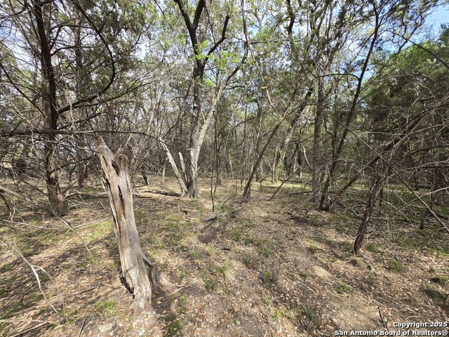 Image 20 of 35 For 555 Iroquois Trl