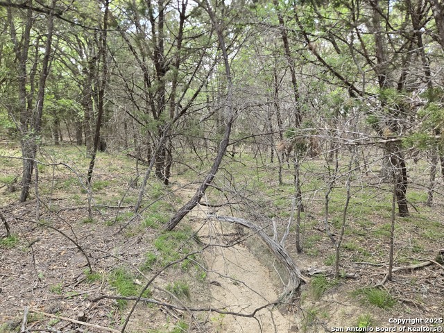 Image 22 of 35 For 555 Iroquois Trl