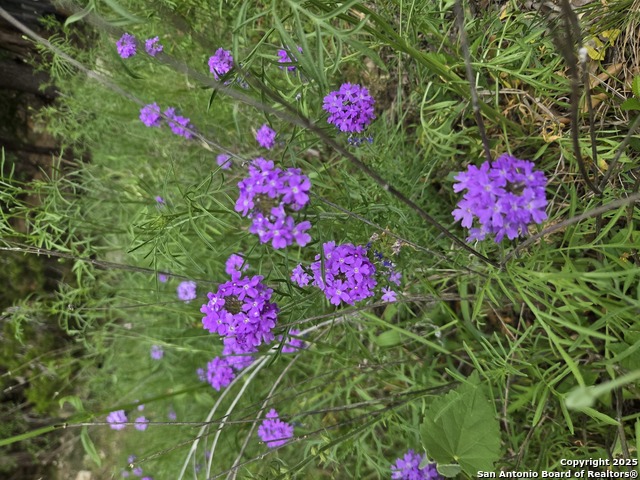 Image 26 of 35 For 555 Iroquois Trl