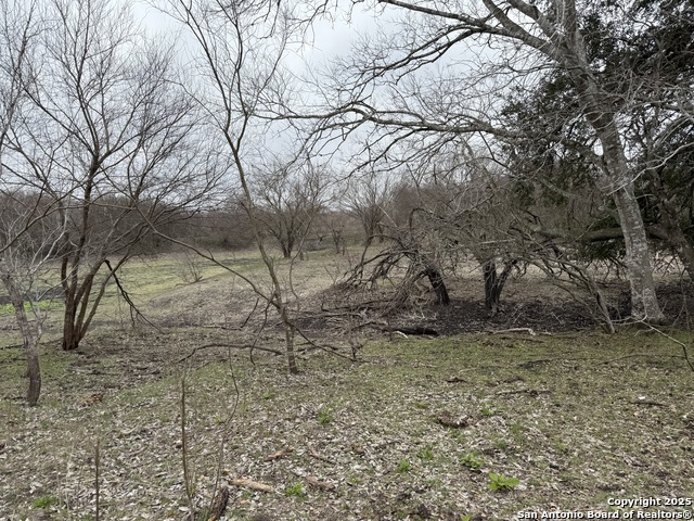 Image 5 of 9 For O Cr 197  