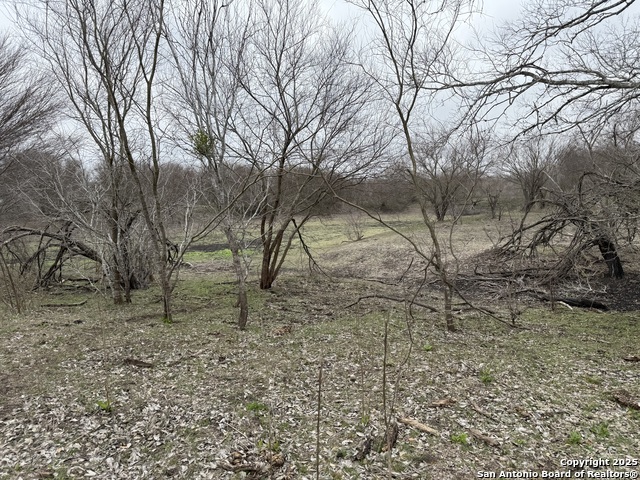 Image 6 of 9 For O Cr 197  