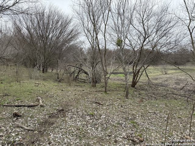 Image 7 of 9 For O Cr 197  