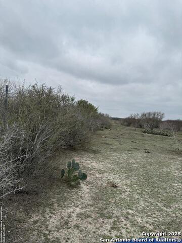Image 8 of 9 For O Cr 197  