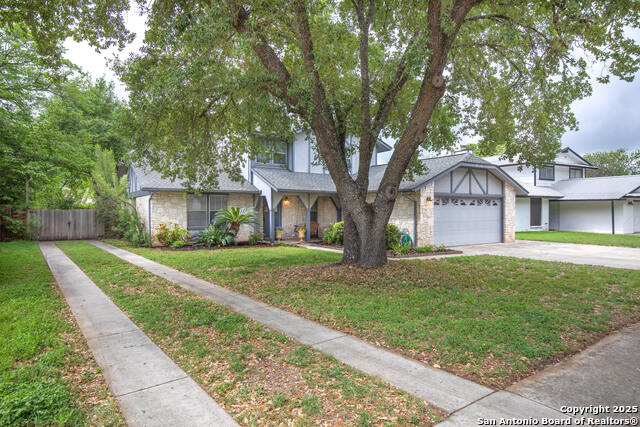 Image 3 of 37 For 8530 Tanbark