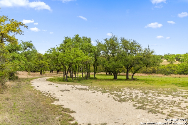 Image 15 of 40 For 768 Walnut Springs Rd N