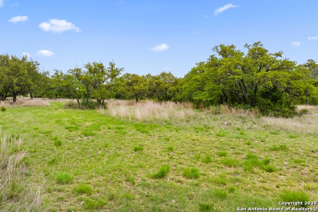Image 19 of 40 For 768 Walnut Springs Rd N