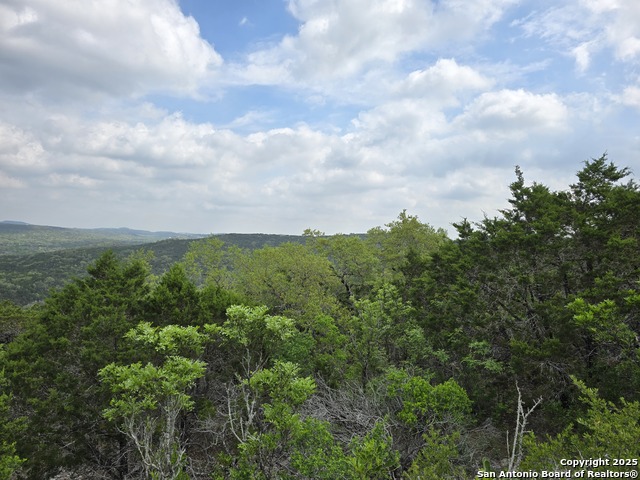 Image 6 of 12 For 9841 Tower View