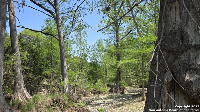 Image 48 of 50 For 501 River Mountain Drive