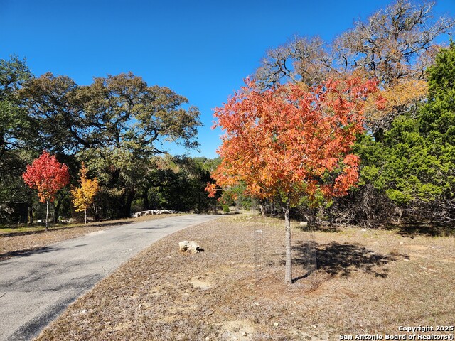 Image 49 of 50 For 501 River Mountain Drive