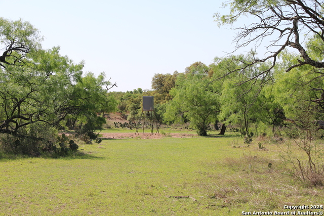 Image 19 of 33 For Tbd Cr 113a