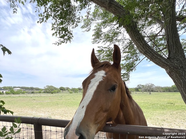 Image 35 of 50 For 545 Highgate Dr.