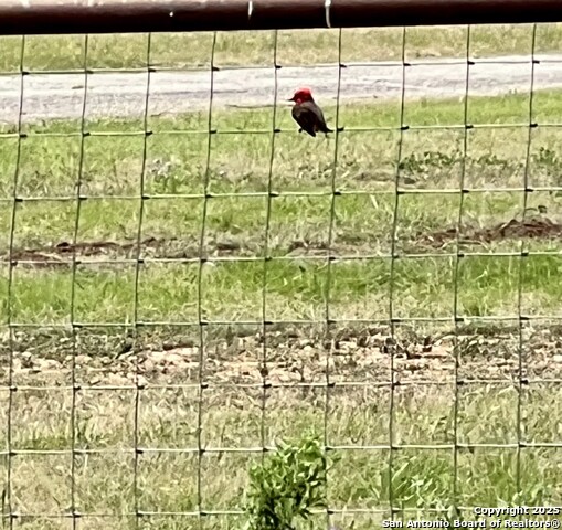 Image 48 of 50 For 545 Highgate Dr.