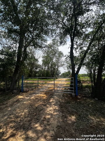 Image 20 of 32 For 304 County Road 6611