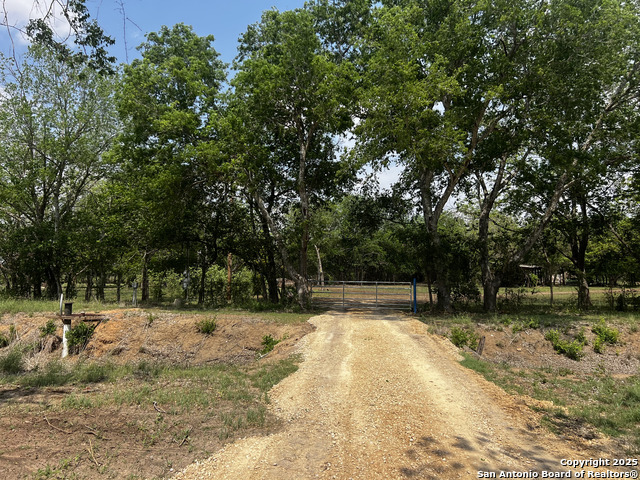 Image 28 of 32 For 304 County Road 6611