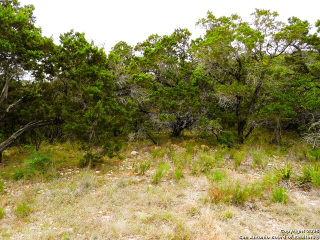 Image 12 of 14 For Tbd Mountain Drive