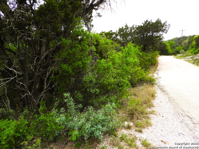 Image 14 of 14 For Tbd Mountain Drive