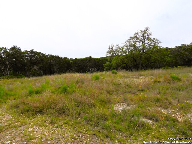 Image 5 of 14 For Tbd Mountain Drive