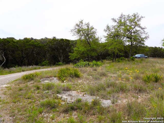 Image 8 of 14 For Tbd Mountain Drive