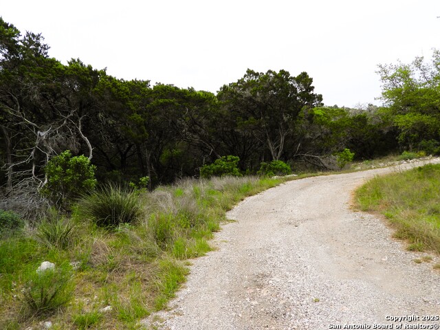 Image 9 of 14 For Tbd Mountain Drive