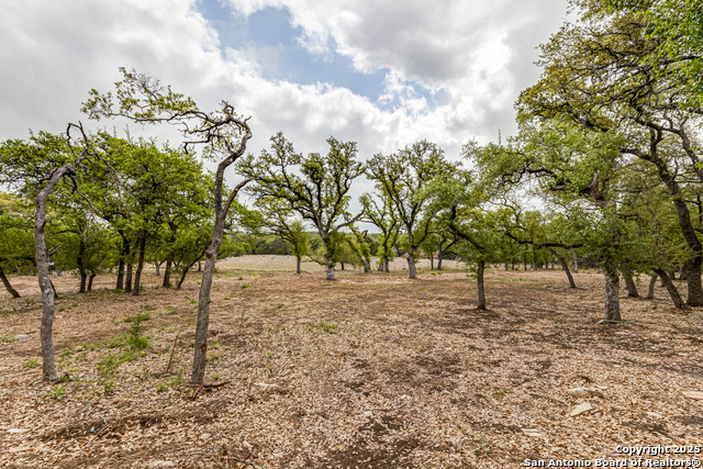 Listing photo id 35 for 1281 Adyson Ridge