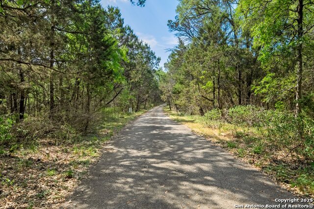 Listing photo id 35 for 2802 State Highway 46