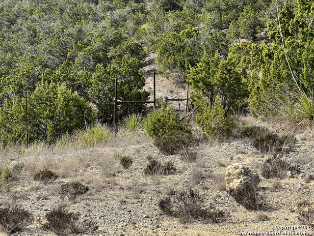 Image 2 of 11 For Lot16&50%lot15 Hondo Oaks